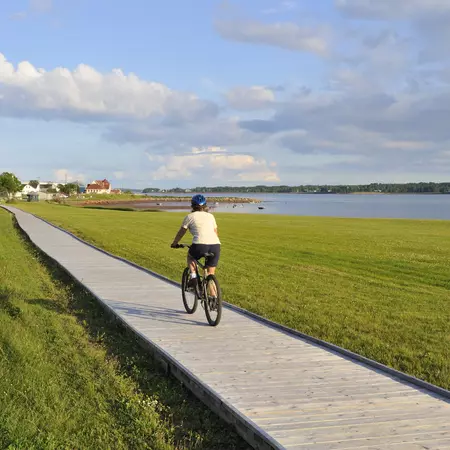 92126698
50-54 Years; 50-59 Years; Activity; Adult; Adults Only; Adventure; Bicycle; Biker; Canada; Casual Clothing; Color Image; Cycle; Cycling; Dusk; Exercising; Females; Footpath; Healthy Lifestyle; Helmet; Landscape; Leisure Activity; Mature Adult; Mature Women; Motion; Nature; Non-Urban Scene; One Mature Woman Only; One Person; One Woman Only; Only Women; Outdoors; People; Photography; Prince Edward Island; Pursuit - Concept; Recreational Pursuit; Rural Scene; Sky; Sport; Sports Helmet; Summer; Track - Imprint; Vertical; Vitality; Water's Edge; Women;
Woman on bike