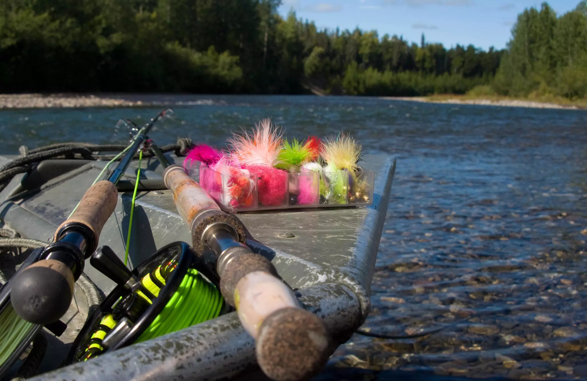 Experience the thrill of catching salmon on the fly on the remote rivers of Alaska © schmeeve / Getty Images
