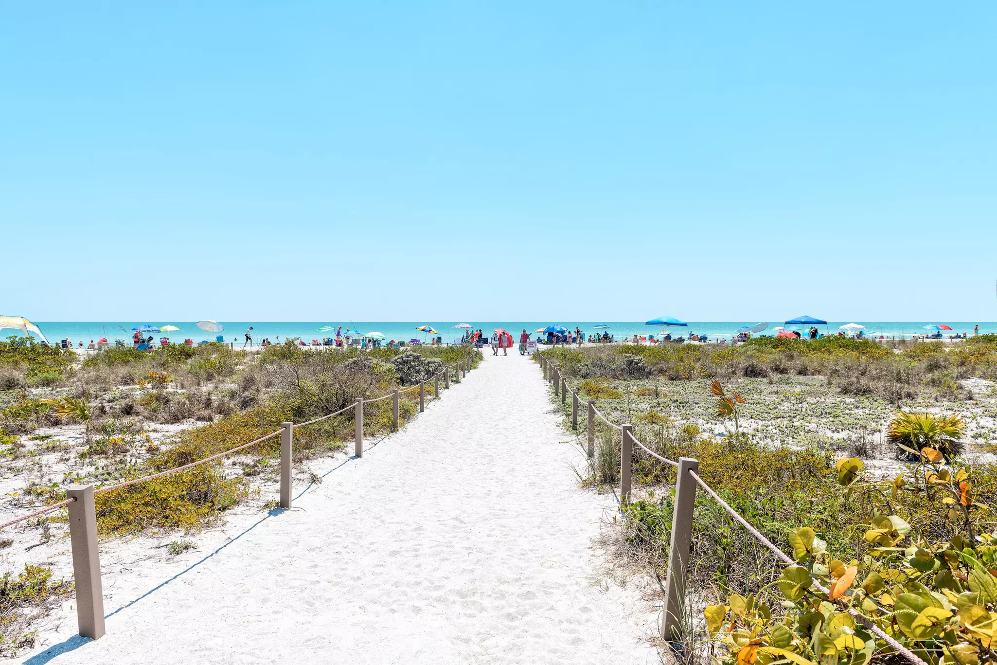 Bowman's beach at Sanibel Island with sandy trail, path, walkway, fence, many people, crowd in distance, crowded coast, coastline shelling, looking for shells