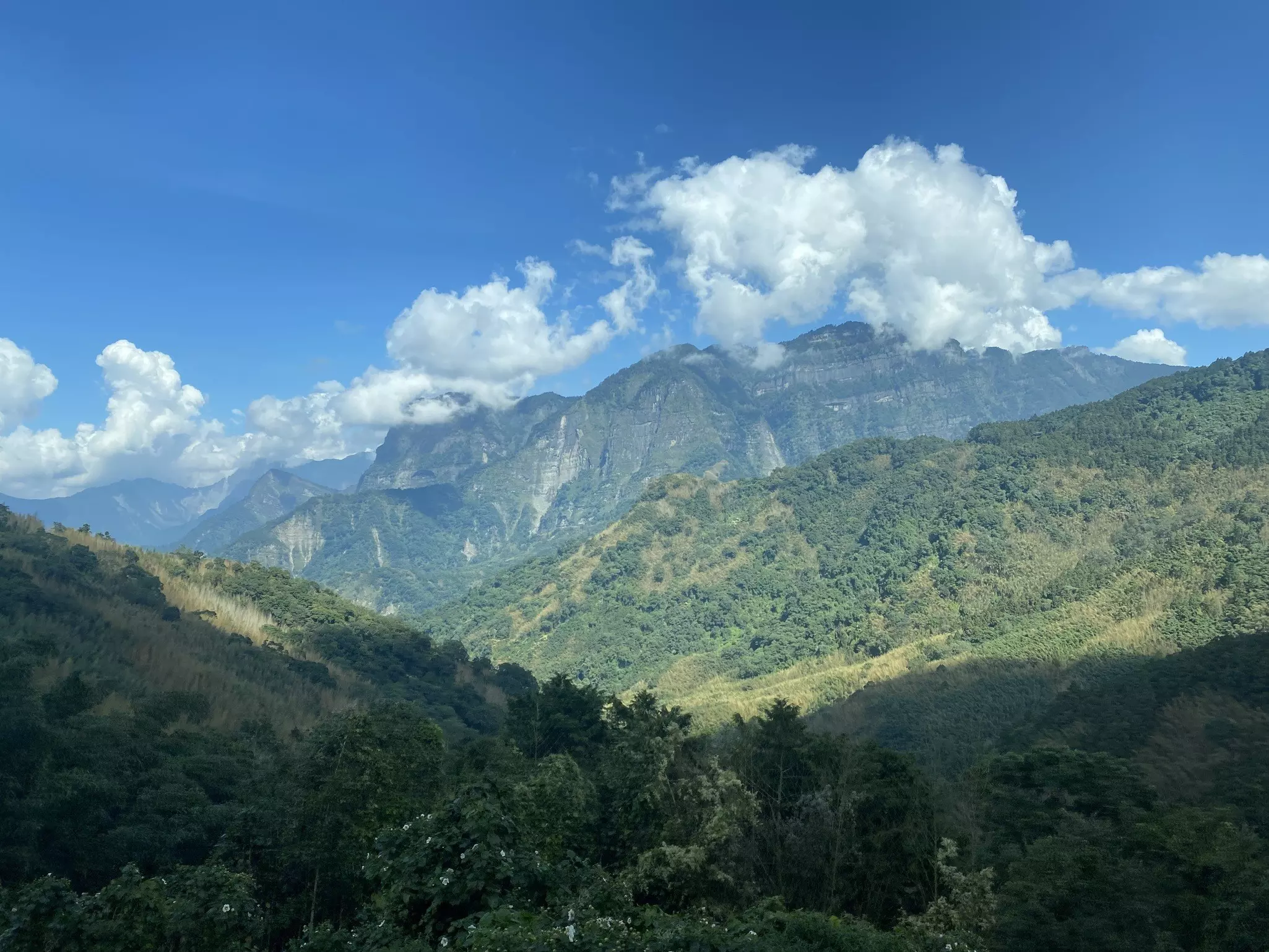 As the Alishan Forest Railway climbs in altitude, views of Mt Daito’s rocky faces can be seen through the trees © Brian Healy