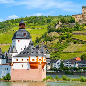 Pfalzgrafenstein castle on the Rhine river. Julia Lav/Shutterstock