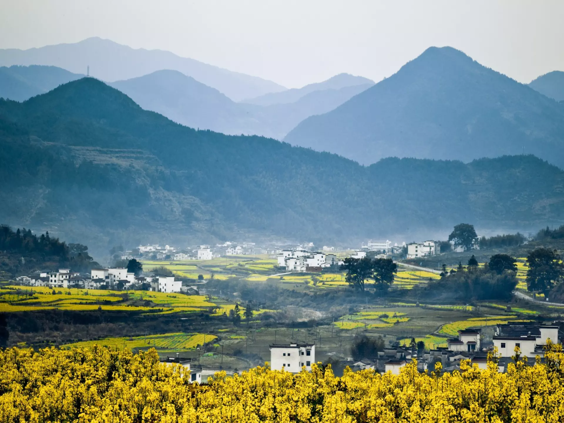 Spring flowers in bloom in Wùyuán. chinaface/Getty Images