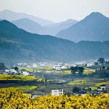 Spring flowers in bloom in Wùyuán. chinaface/Getty Images