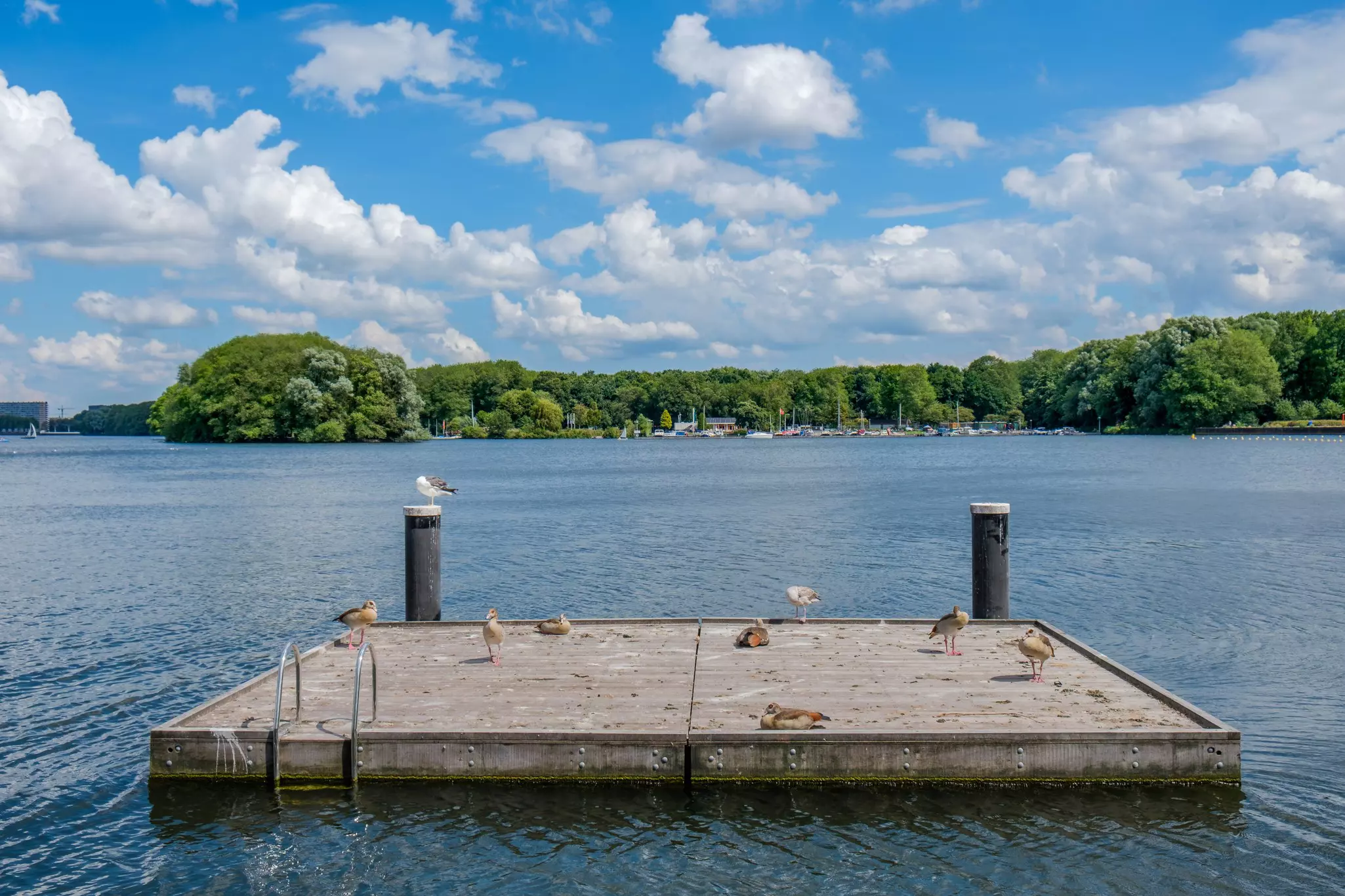 A small wooden jetty floating on a beautiful lake surrounded by woodland