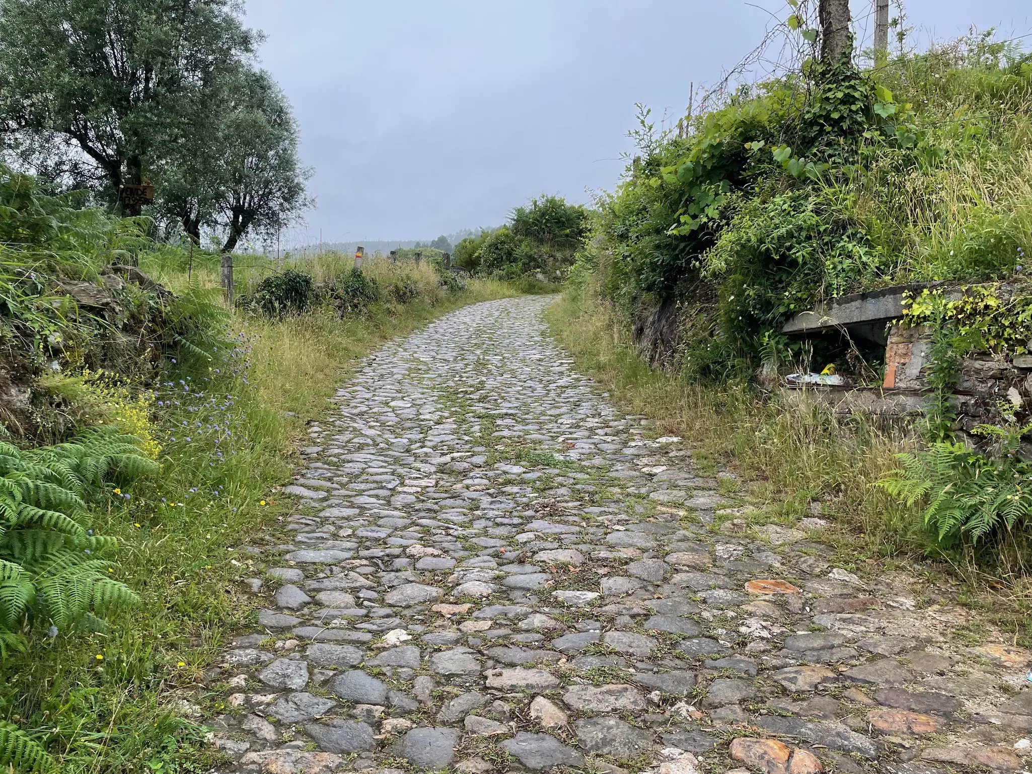 yeager_caminoportuguese_cobblestone.jpeg