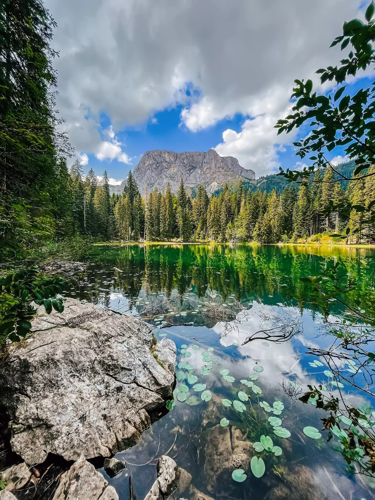 An alpine lake surrounded by woodland