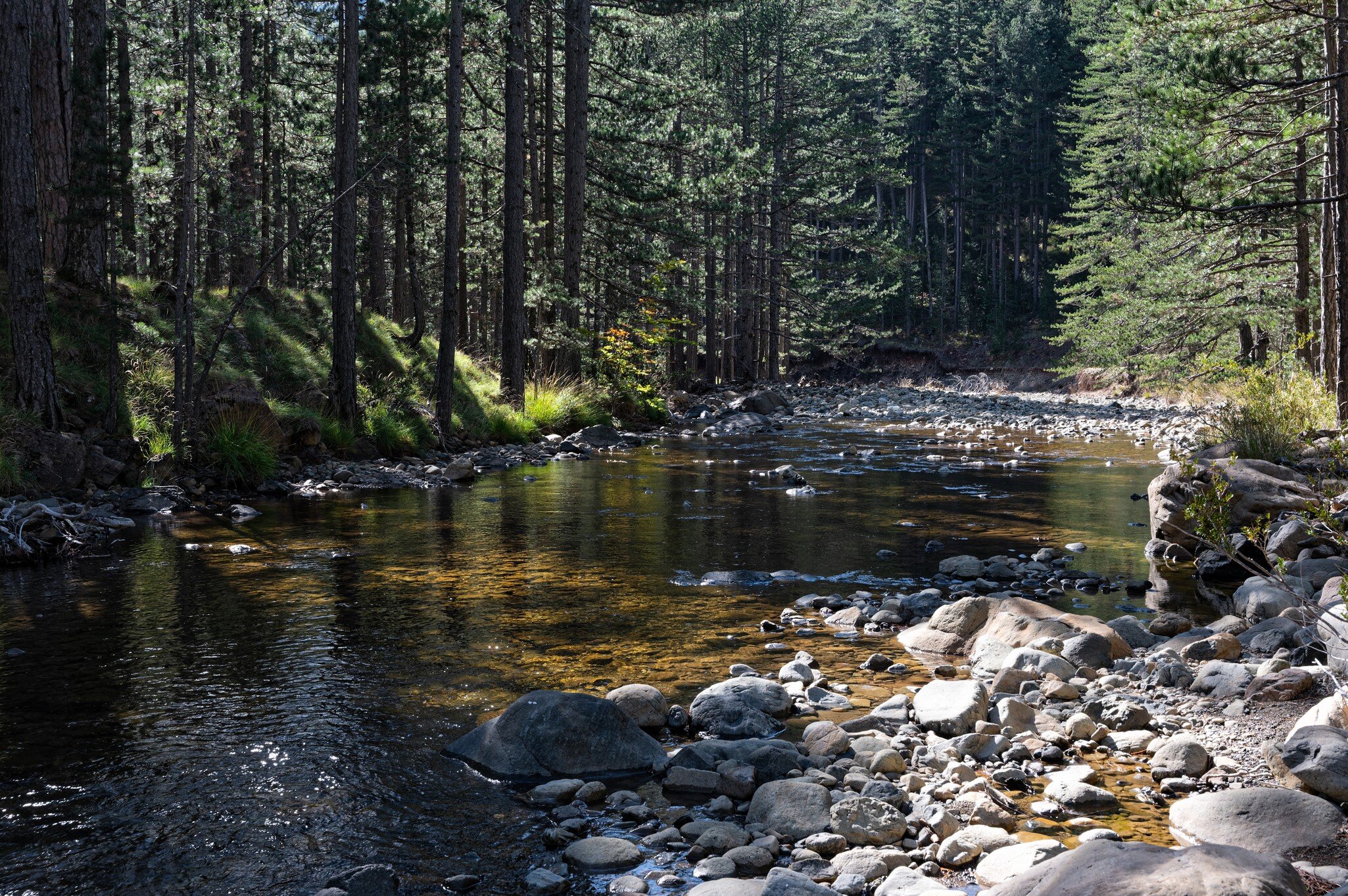 Landscape with forest and Aoos river at the valley of Valia Calda in northern Greece; Shutterstock ID 1936127161;