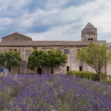 Saint-Rémy-de-Provence, Provence-Alpes-Côte d'Azur - France - July 10 2021: Lavender fields at the Monastery of Saint-Paul de Mausole, Saint-Rémy.