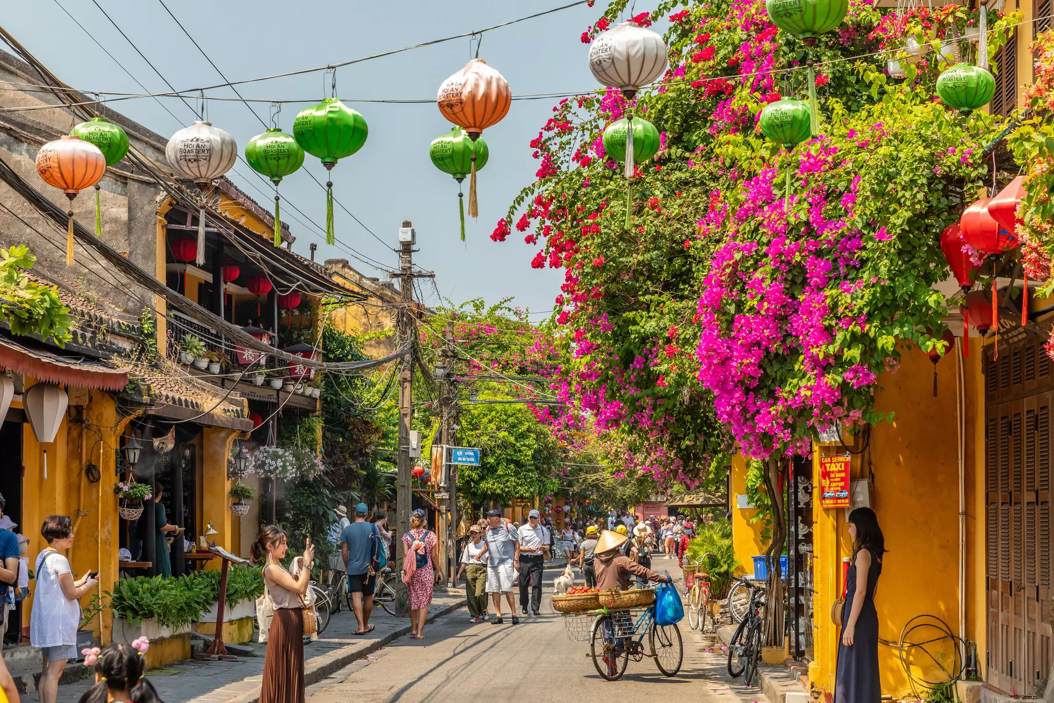 A busy street in Vietnam lined with plants; people pass under colored lanterns that hang above.