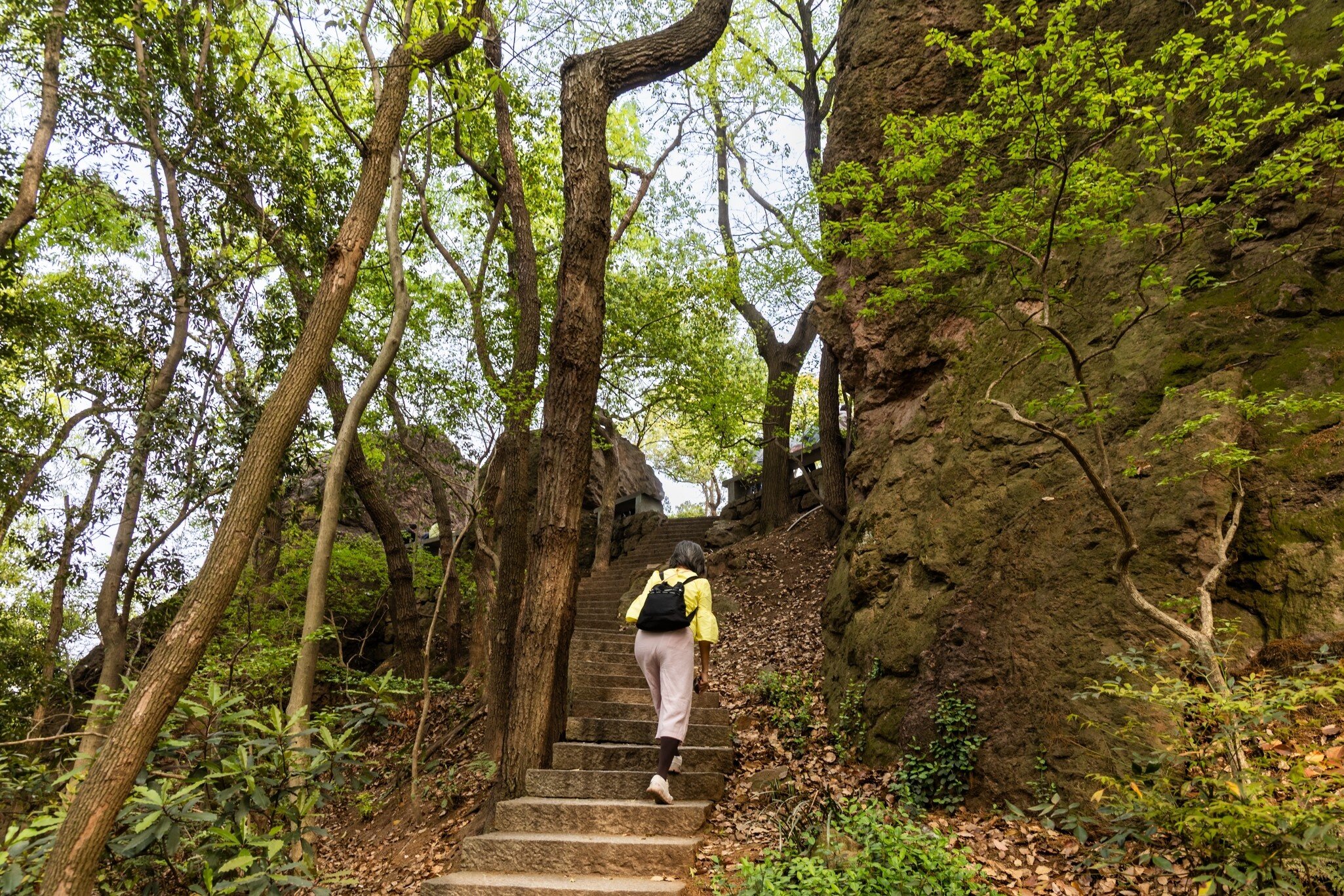 Hiker hiking the serene Boshi hill near West Lake in Hangzhou, License Type: media, Download Time: 2026-09-01T16:07:57.000Z, User: LP_NZhan, Editorial: false, purchase_order: 65050 - Digital Destinations and Articles, job: App Content, client: Lonely Planet App, other: Nadine Zhan