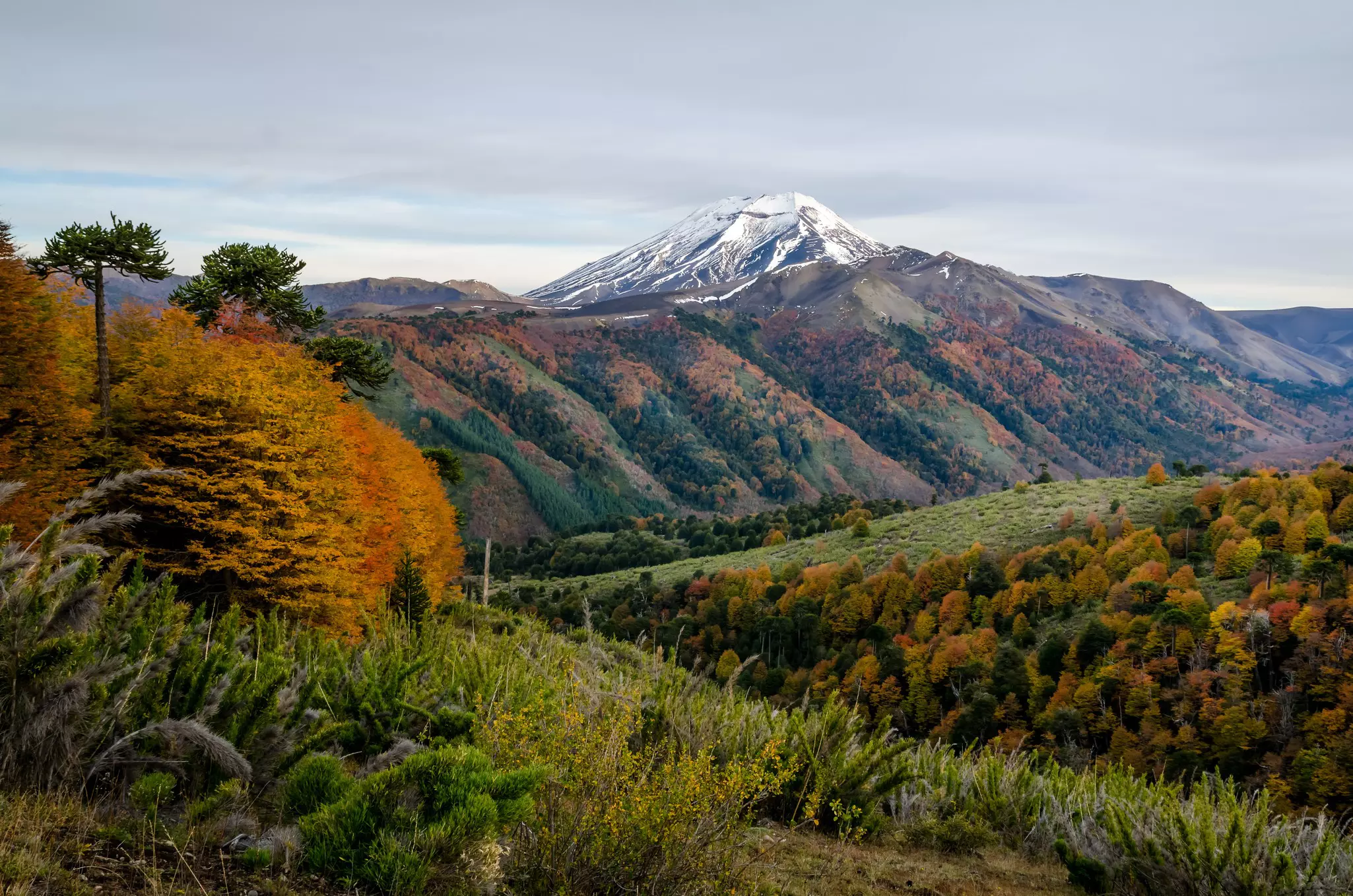 Mountains covered in fall foliage