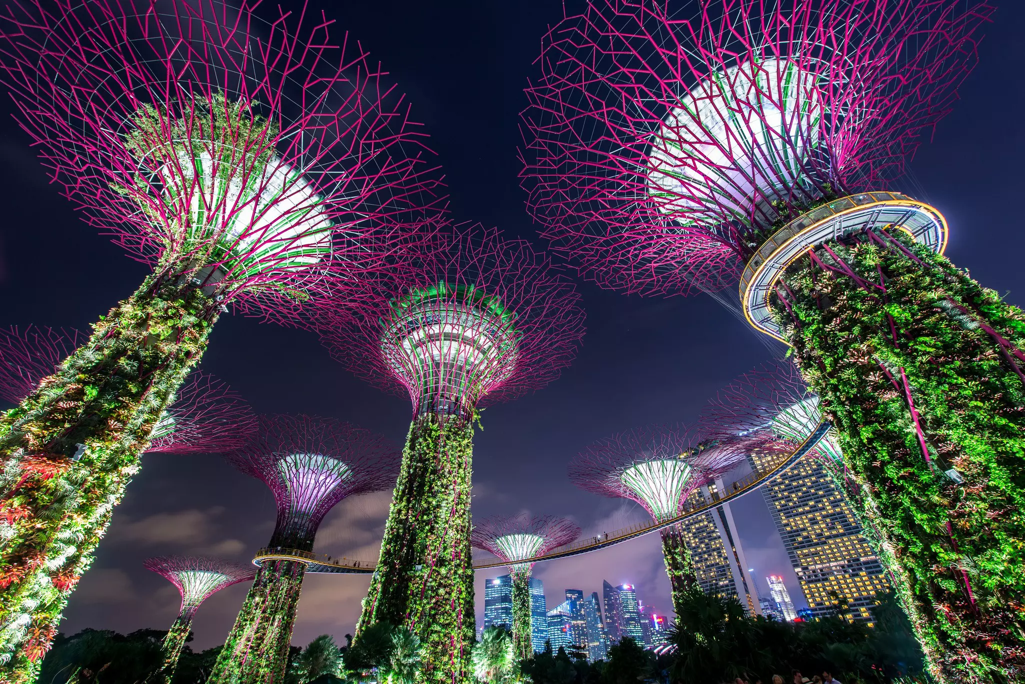 A series of artificial trees connected by a walkway are illuminated as part of an evening's light show.