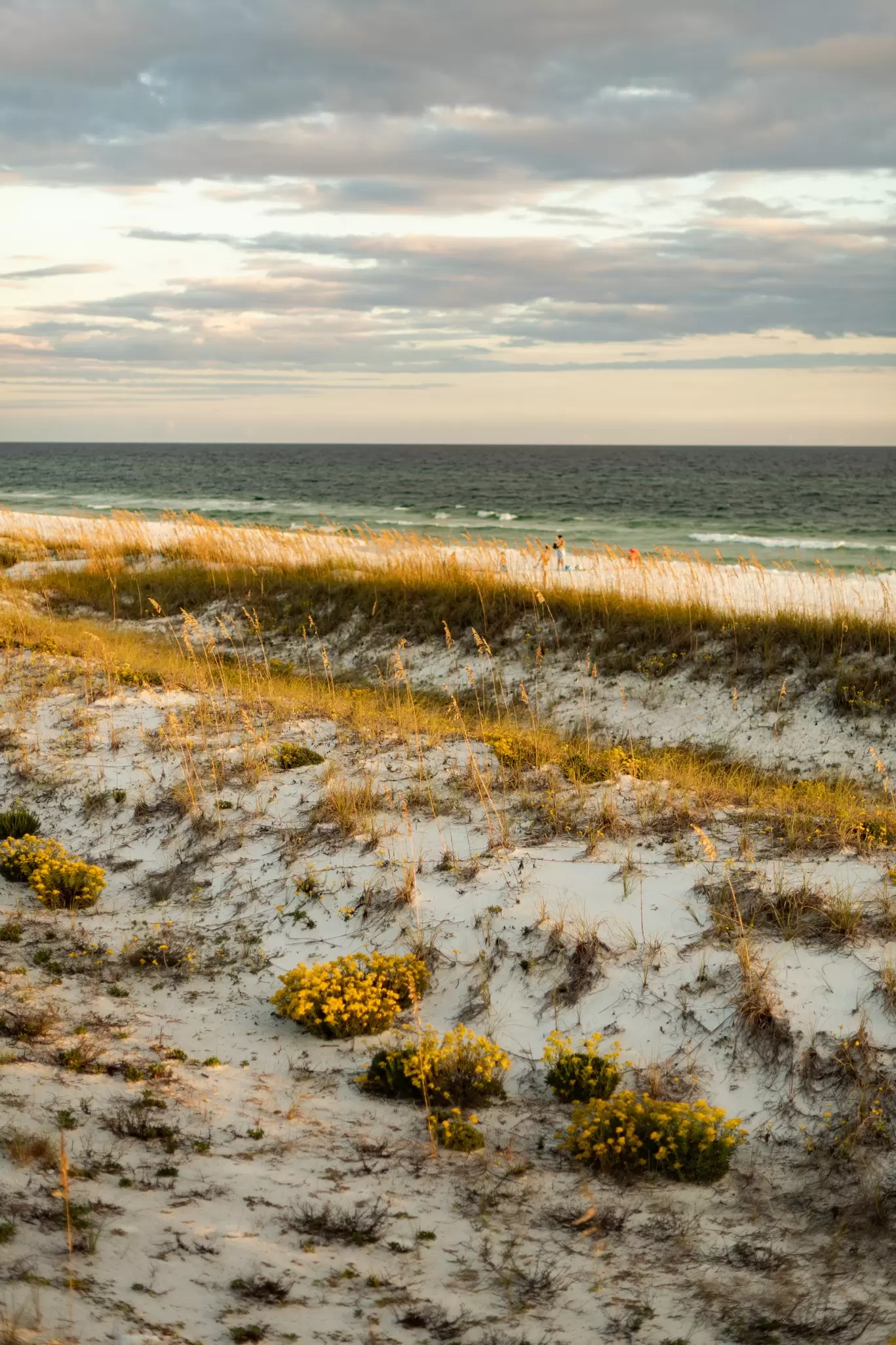 Destin's dunes bathed in golden hour light. Destin-Fort Walton Beach