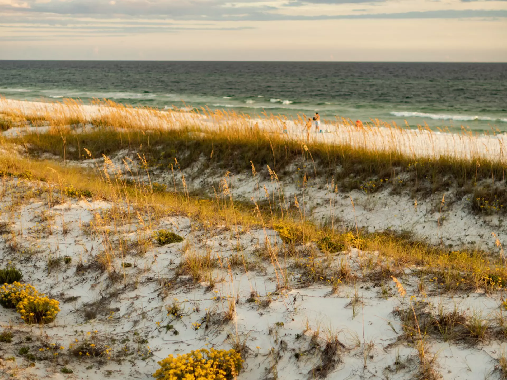 Destin's dunes bathed in golden hour light. Destin-Fort Walton Beach