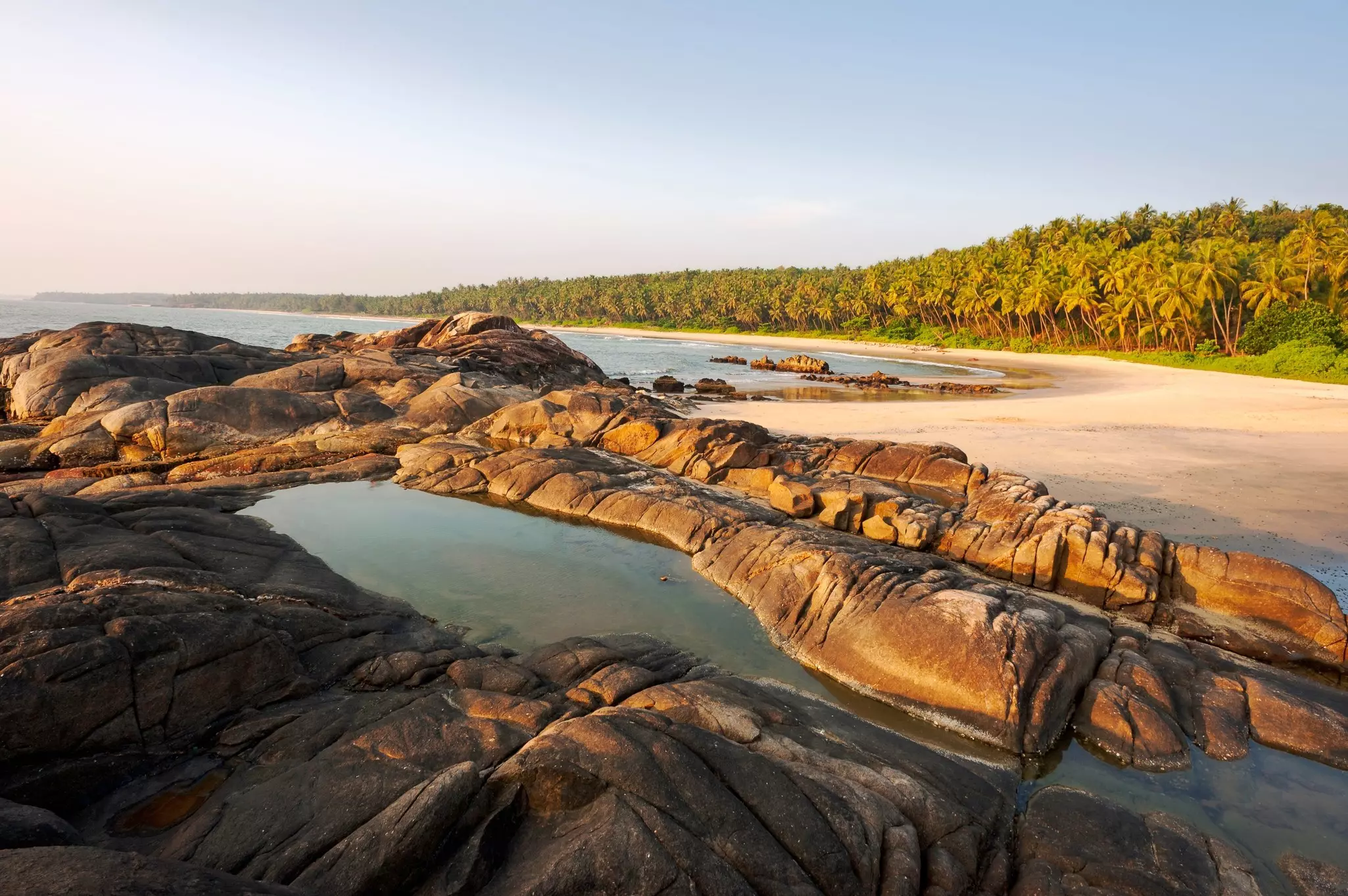 Rocks with seawater pools on a tree-lined stretch of beach