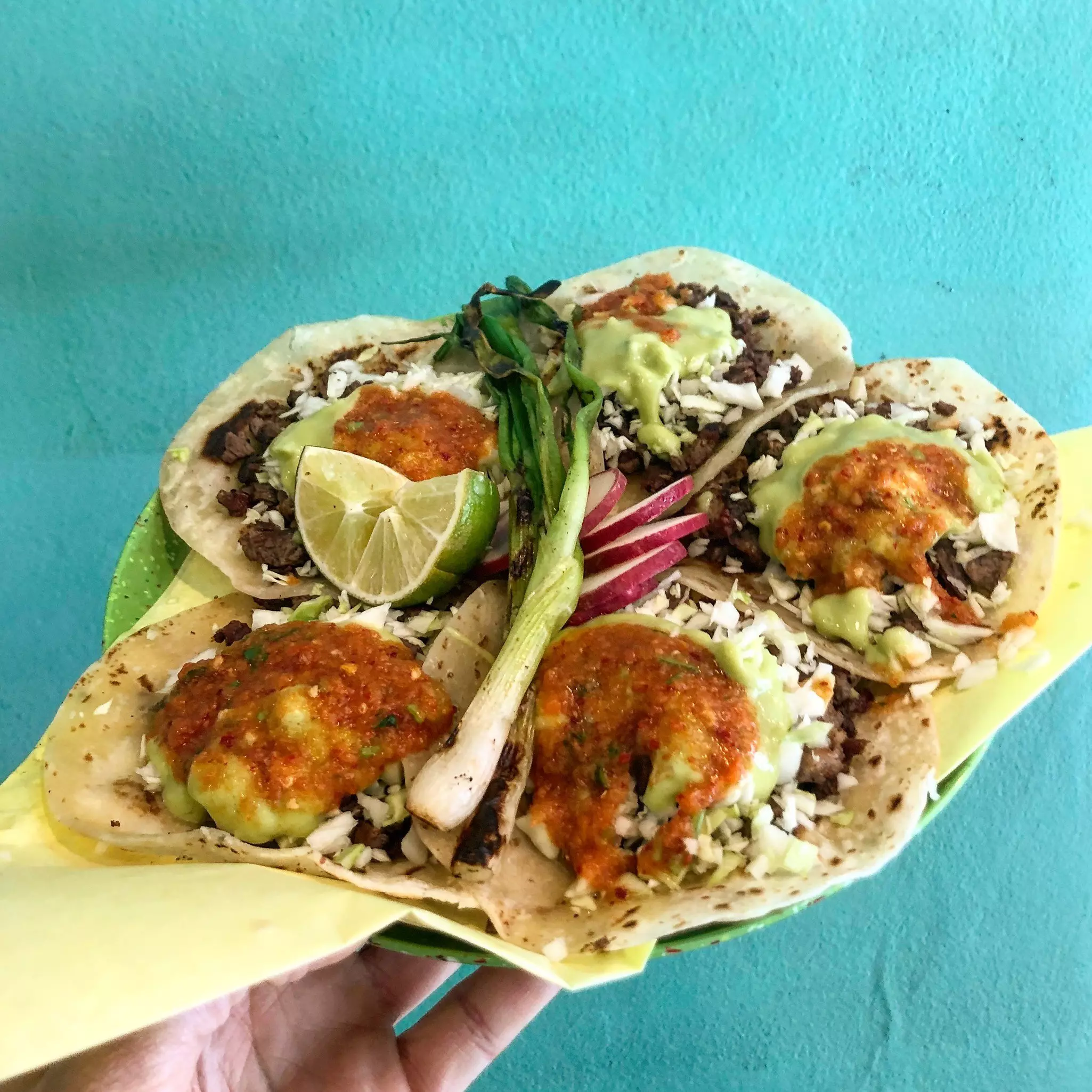 Sonoran-style tacos with all the trimmings at Sonoratown, Los Angeles, California.