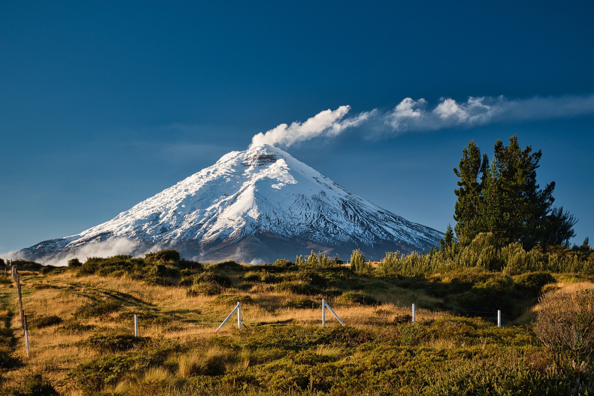 Cotopaxi volcano with a distinct plume of smoke in the national park, License Type: media, Download Time: 2026-01-16T20:22:25.000Z, User: katelyn.perry_lonelyplanet, Editorial: false, purchase_order: 65050 - Digital Destinations and Articles, job: wip, client: wip, other: Katelyn Perry