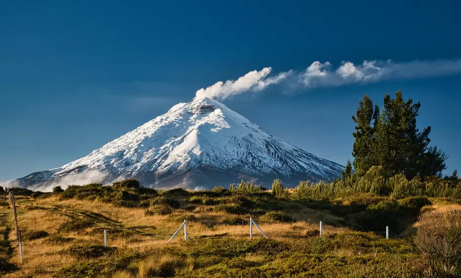 Cotopaxi volcano in Ecuador, its snowy cone trailing a plume of cloud above golden páramo grassland and pine trees