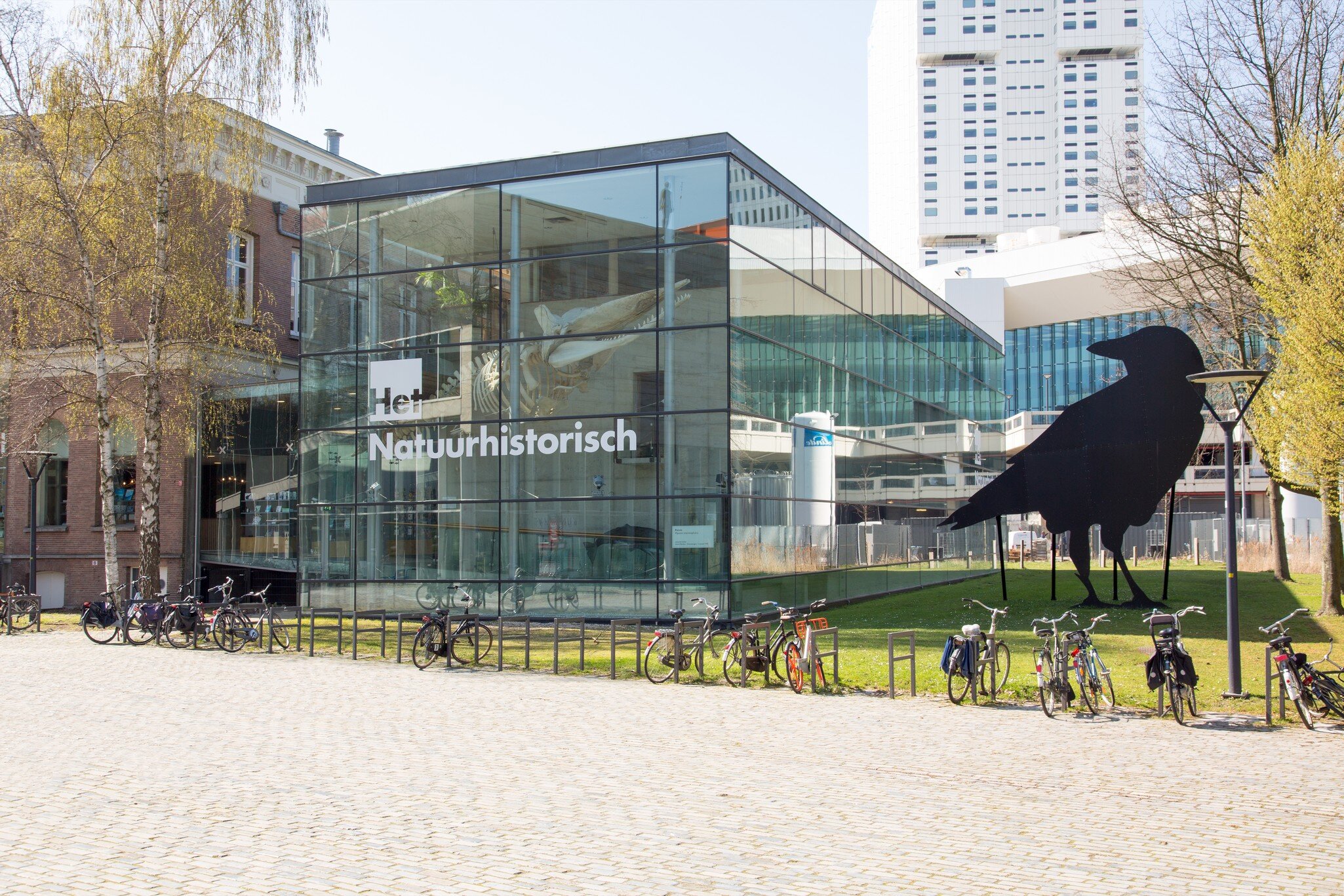 Exterior view of the Natural History Museum in Rotterdam.