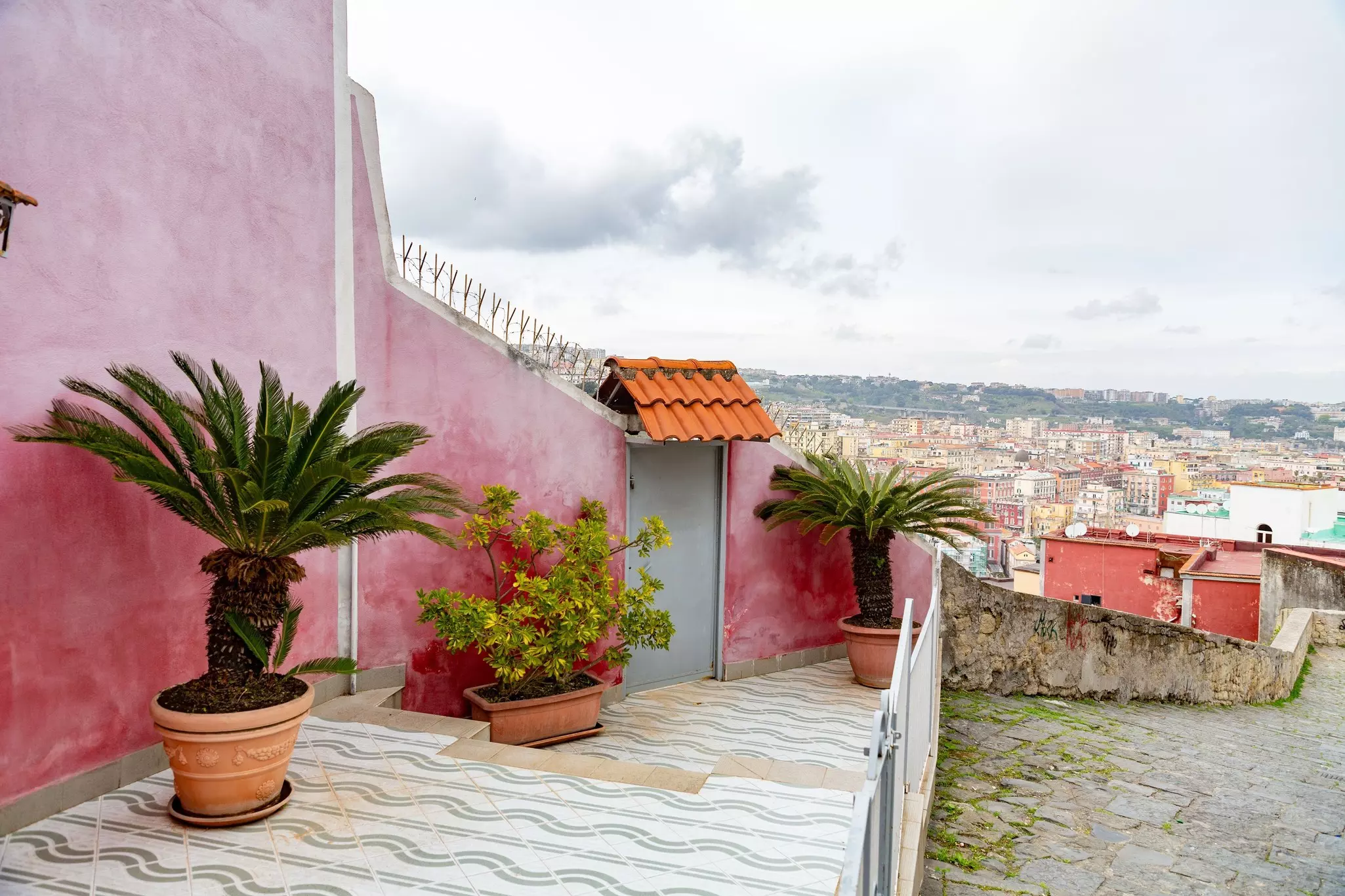 A stairway decorated with plants in pots and with a pastel-pink wall leads down to a city.