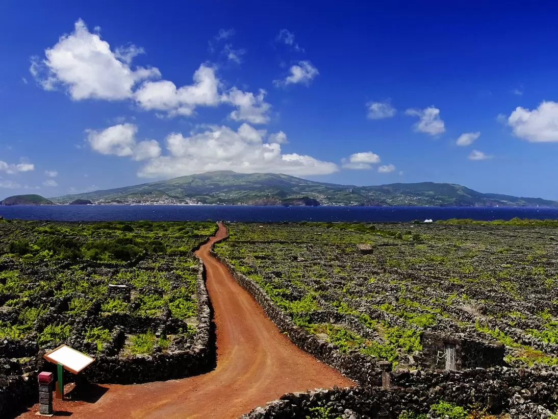 Red dirt track through lava-stone walled vineyard plots on Pico Island, with Faial island across the sea, Azores