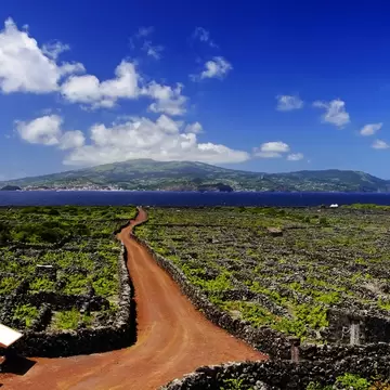 Red dirt track through lava-stone walled vineyard plots on Pico Island, with Faial island across the sea, Azores
