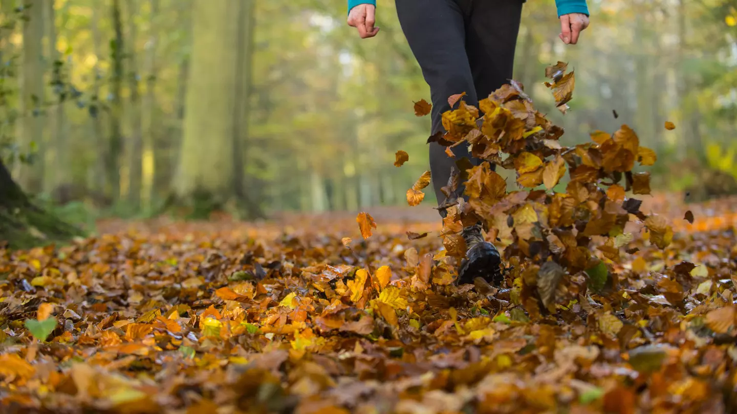 A woman walking and kicking up fallen leaves on a hike in the autumn