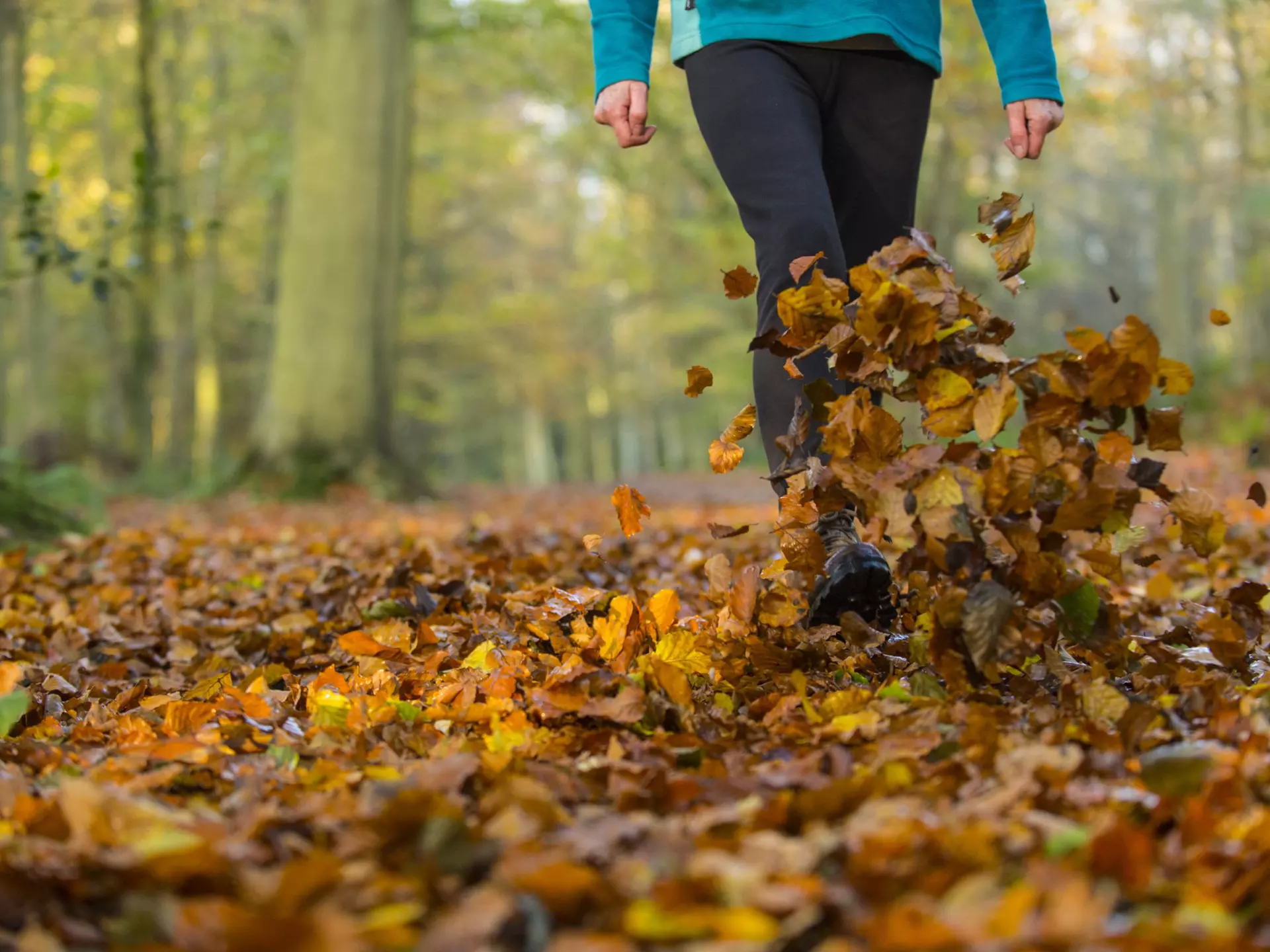 A woman walking and kicking up fallen leaves on a hike in the autumn