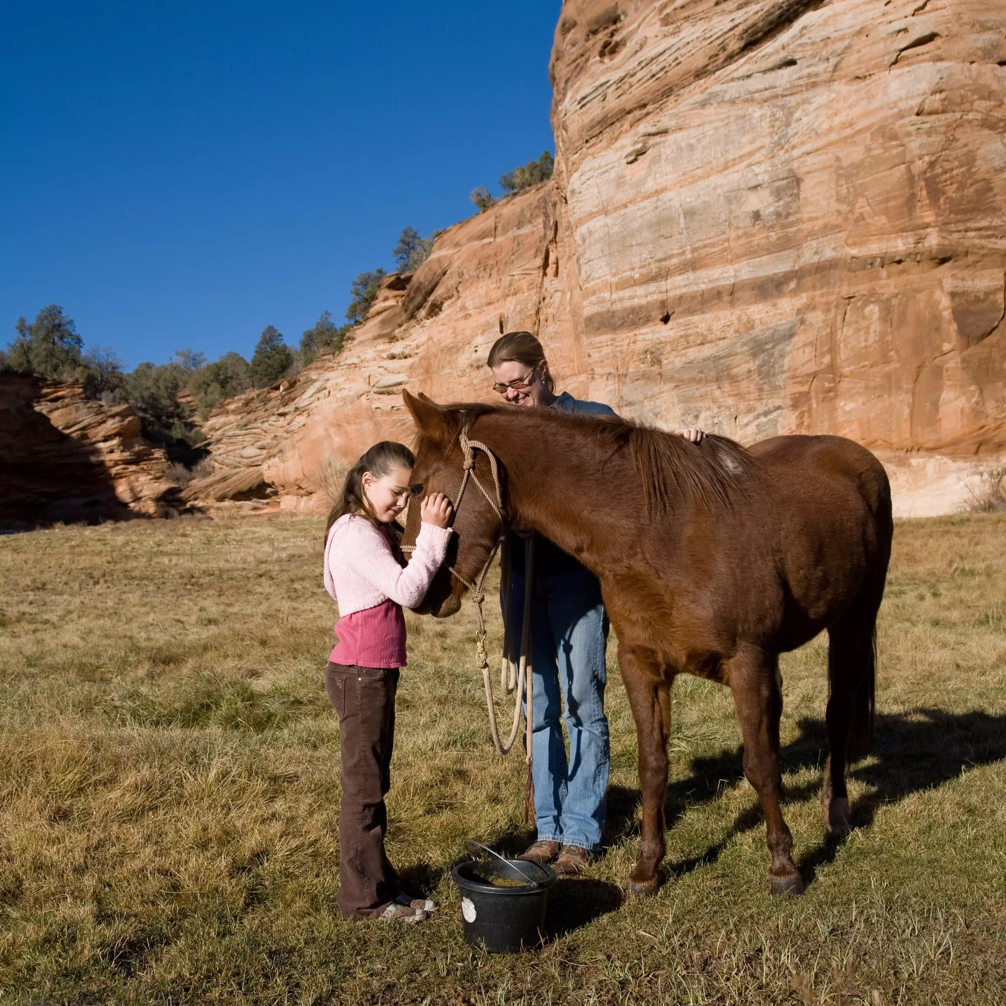 Visitors feeding a horse at the Best Friends Animal Sanctuary. Radius Images/Alamy Stock Photo