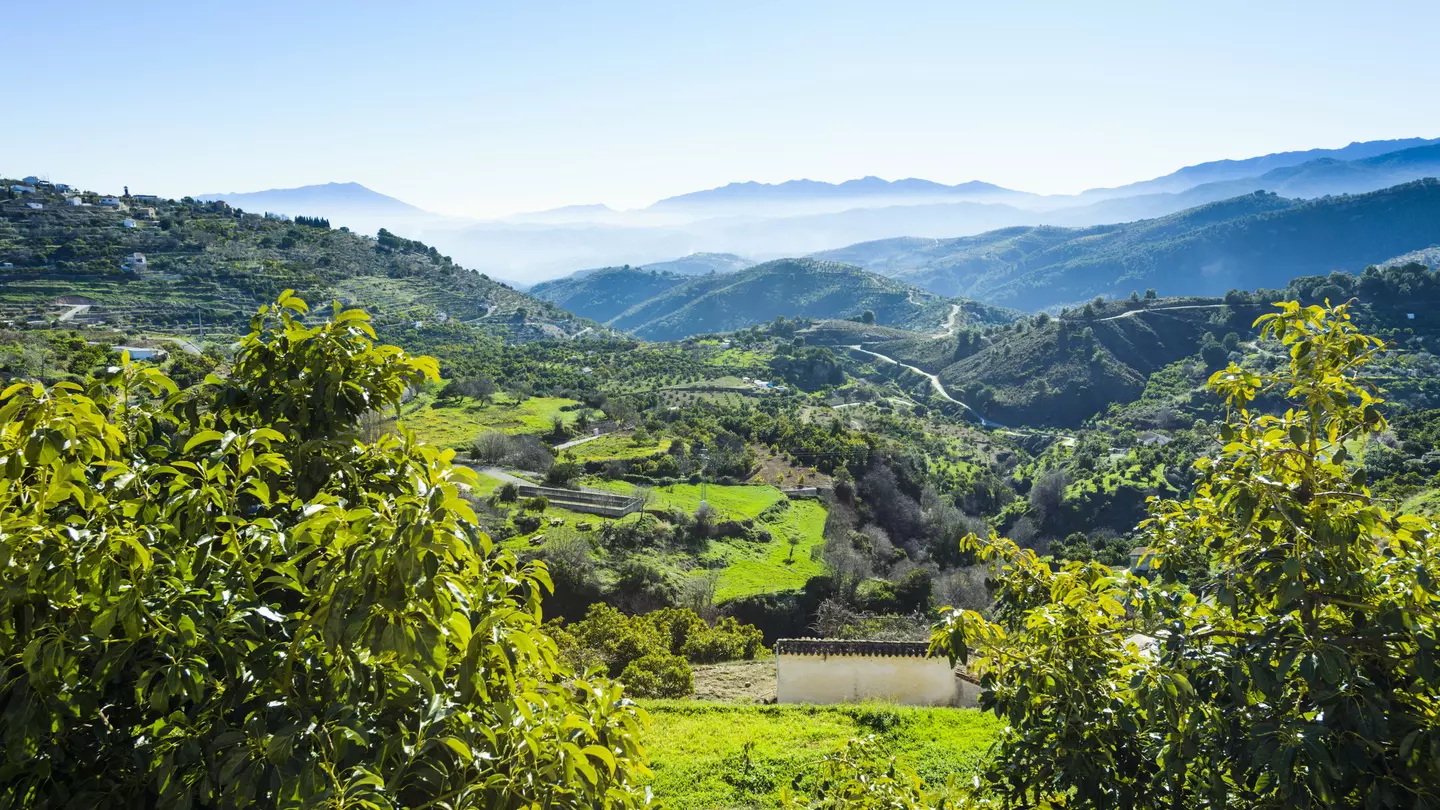View of a valley in the Parque Nacional Sierra de las Nieves in Spain.