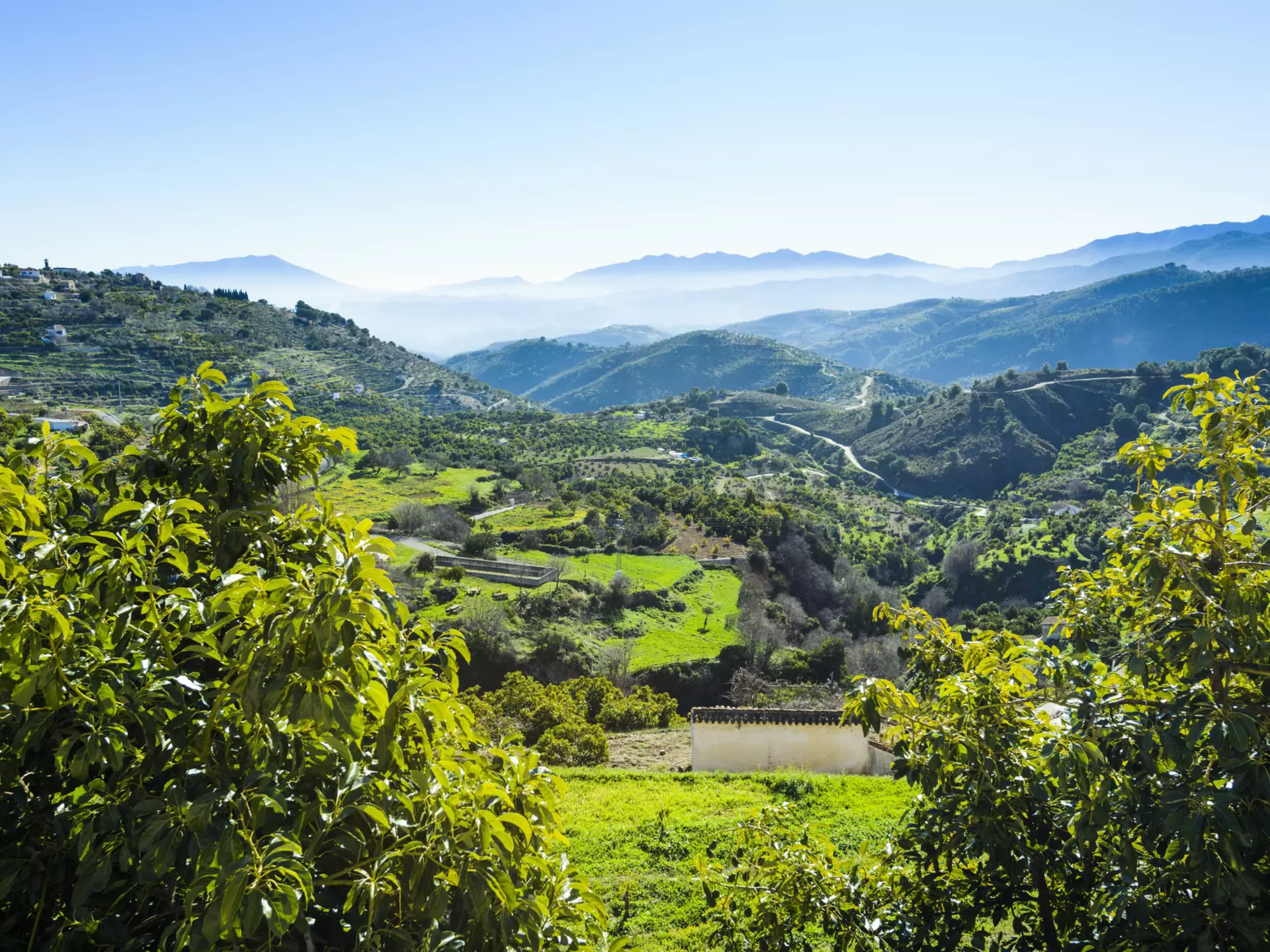 View of a valley in the Parque Nacional Sierra de las Nieves in Spain.