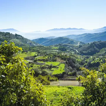 View of a valley in the Parque Nacional Sierra de las Nieves in Spain.