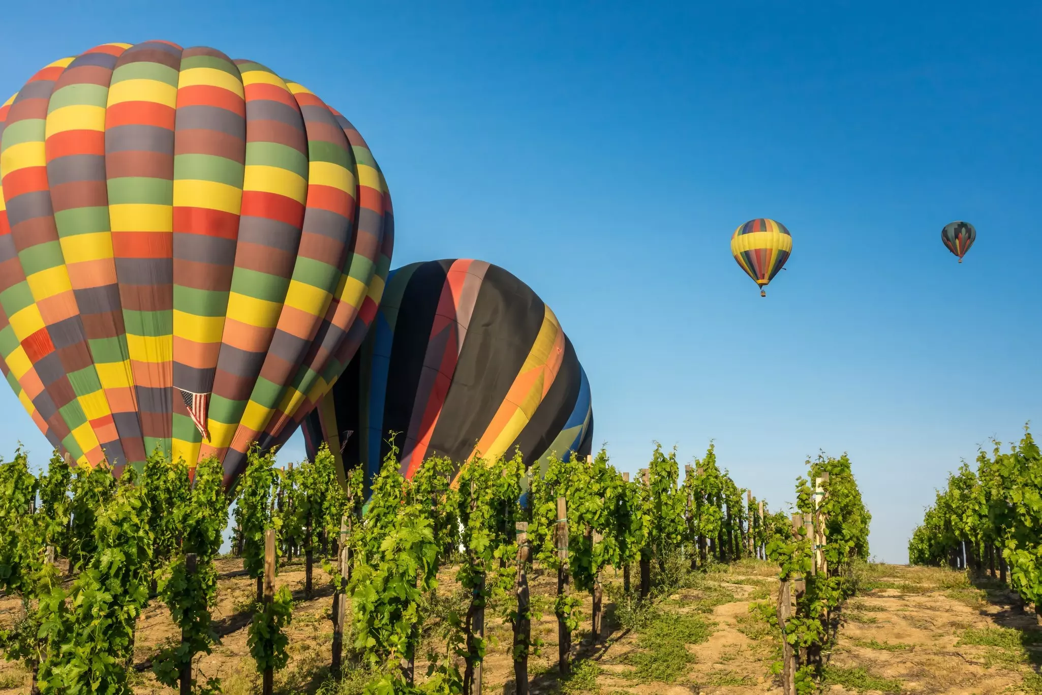 Four colorful hot air balloons. Two on the left are situated in a vineyard, and two on the right are in flight in a clear blue sky.