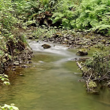 Little River at Van Damme State Park near Mendocino, California.