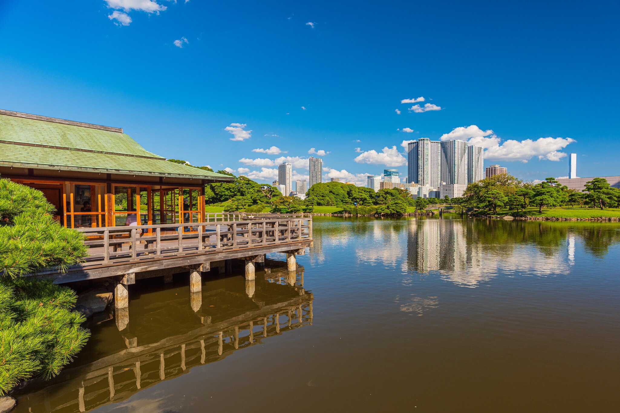 Japanese Cultural Heritage Gardens in Tokyo- Hamarikyu Gardens.These were the family garden of Tokugawa Shogun .The pond is tidal pond and connected to Tokyo Bay.Water level is controlled by lock gate  License Type: media  Download Time: 2024-05-28T14:31:56.000Z  User: aniabartoszek  Is Editorial: No  purchase_order: