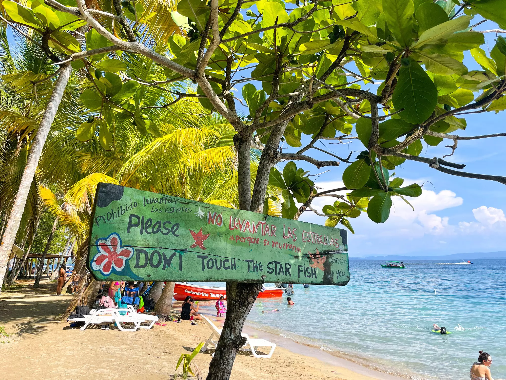 Playa Estrella,  Don't touch the starfish sign in Panama, 2025.