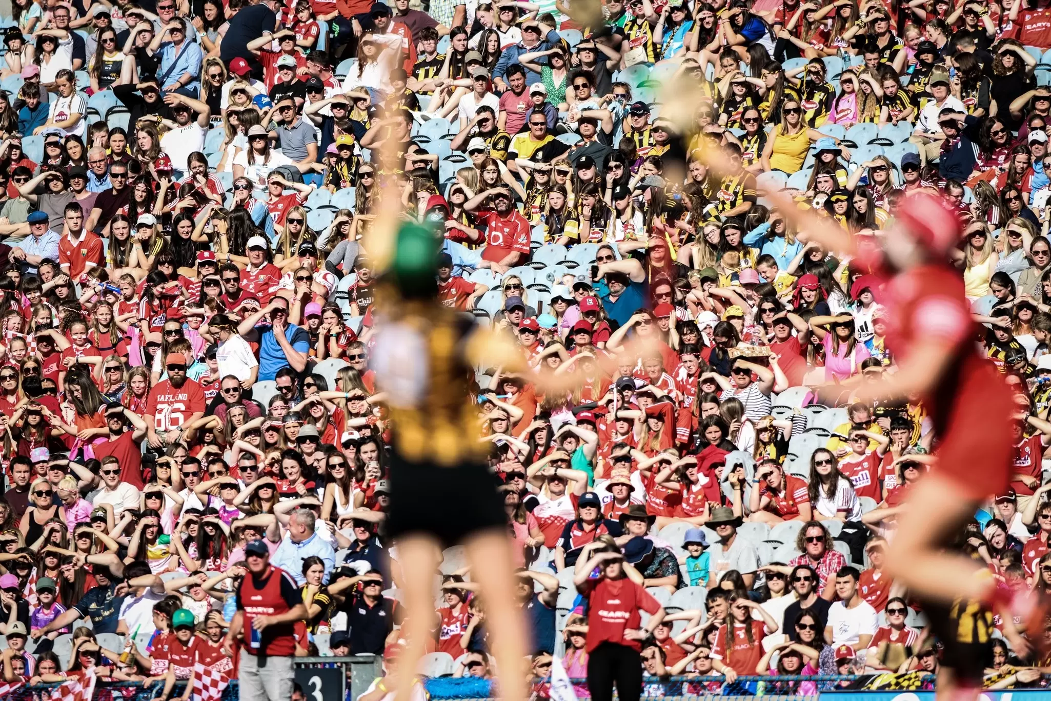 The ancient Irish game of hurling combines skill, athleticism and courage © Shutterstock / D. Ribeiro