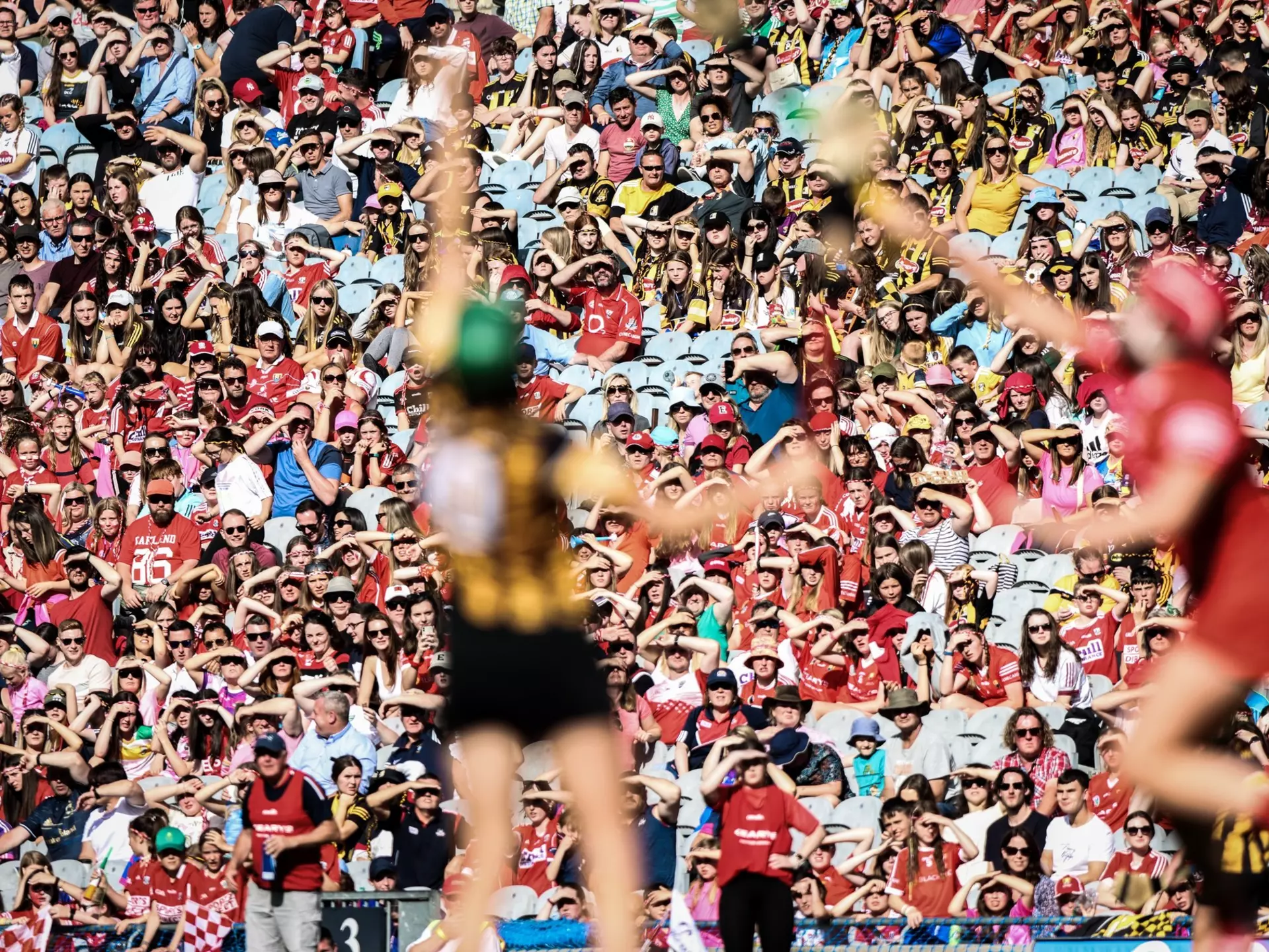 The ancient Irish game of hurling combines skill, athleticism and courage © Shutterstock / D. Ribeiro