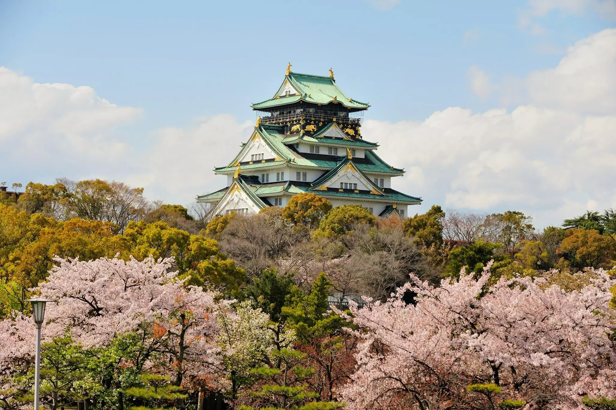 Osaka Castle with cherry blossoms