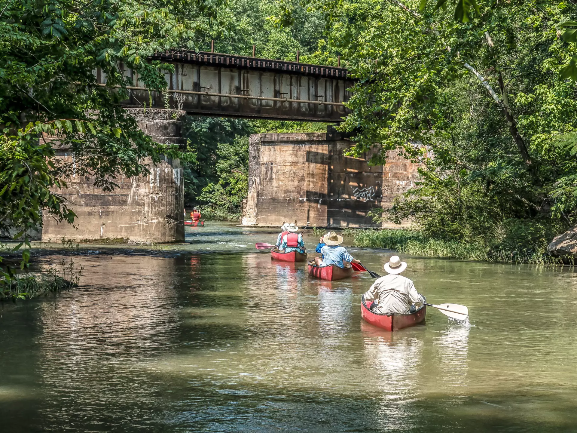 Canoeing down the Cahaba River in Helena, Alabama. JRainesWDE/iStock