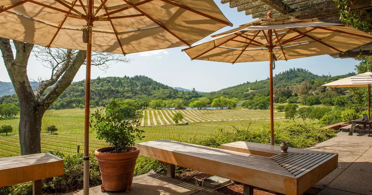The best time to visit Napa Valley - Lonely Planet