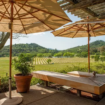A vineyard in Napa Valley during spring in California.