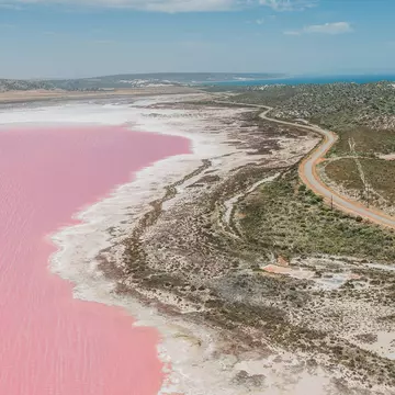 Aerial view of the pink shoreline of Hutt Lagoon near Port Gregory, Western Australia