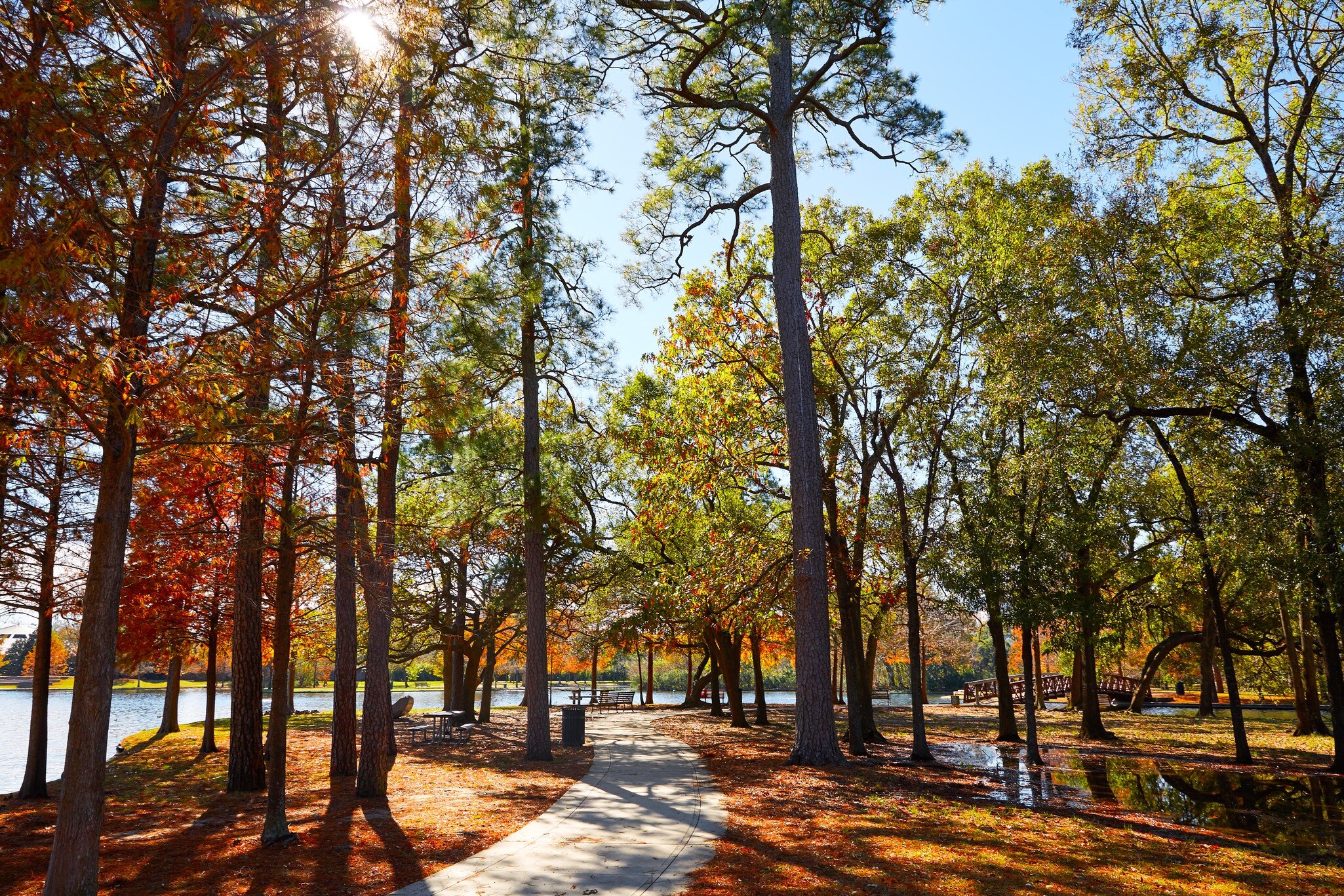 Houston Hermann park conservancy track at autumn in Texas