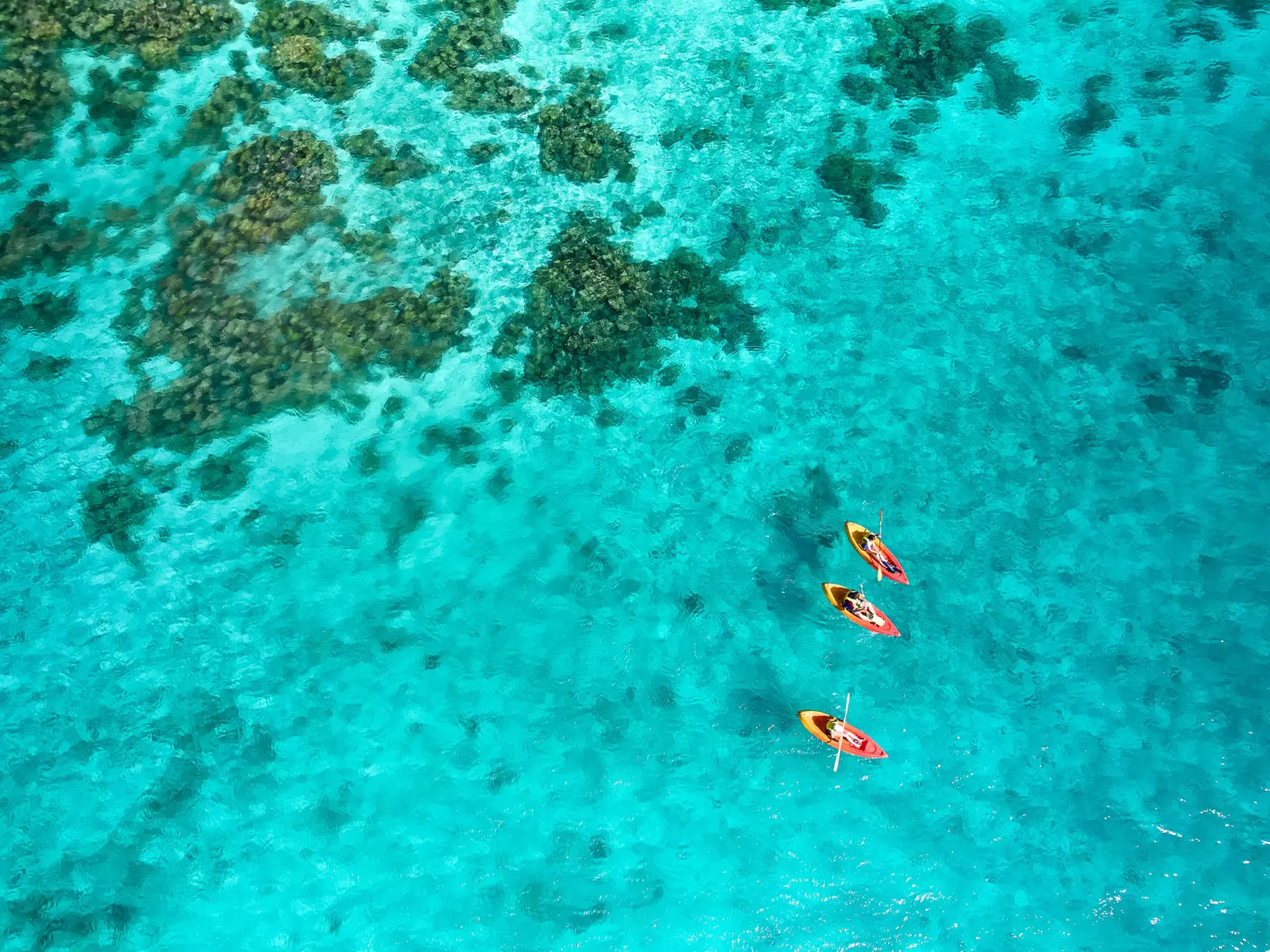 The Yasawa Islands, in northwest Fiji, are a scuba diver's dream. Mark Meredith/Getty Images