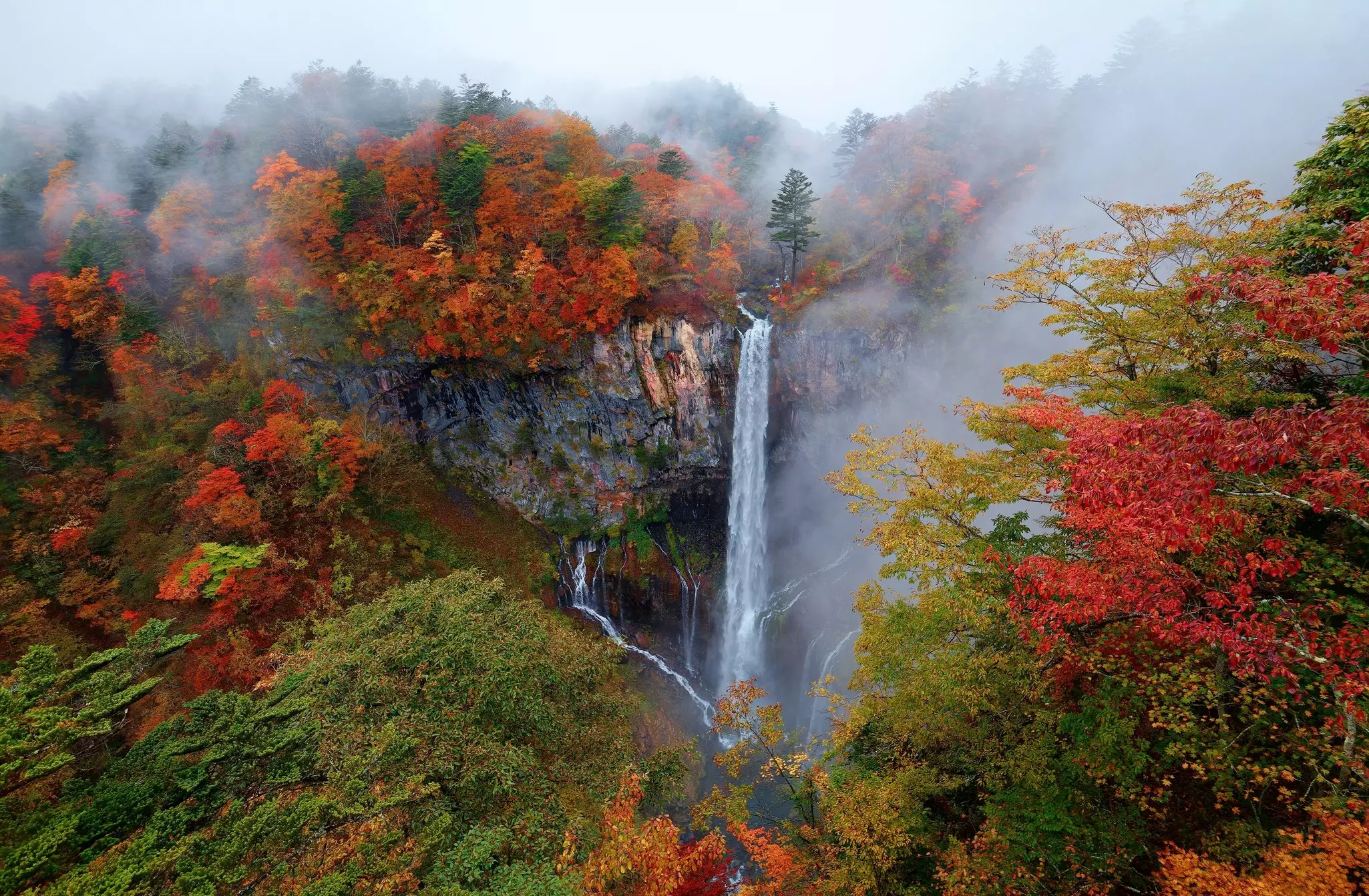 A waterfall in a forest with trees with red leaves.