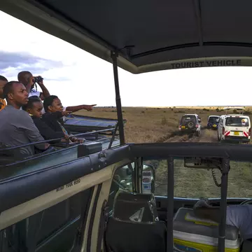 A tourists view from the safari van in Kenya's Nairobi National Park.
1144457446
game, wildlife, animals, wildlife photography, safari van, tourists, sightseeing