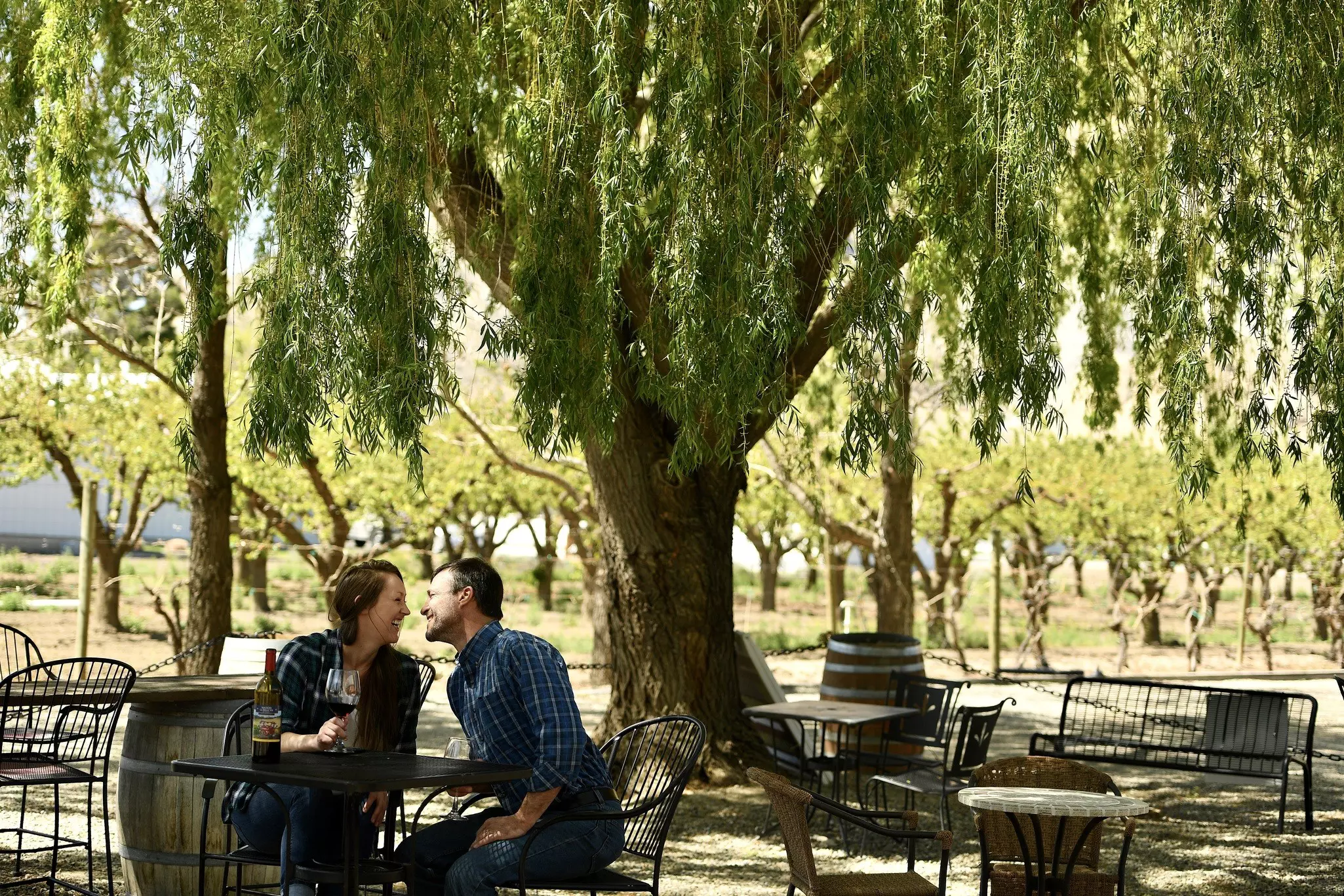 The high-altitude wineries in Colorado’s Grand Valley are perfect for romance © Helen H. Richardson / The Denver Post via Getty Images
