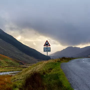 Don't worry, you'll spot just as many sheep in Southern Scotland as you would in the north. Emily Macinnes/Lonely Planet