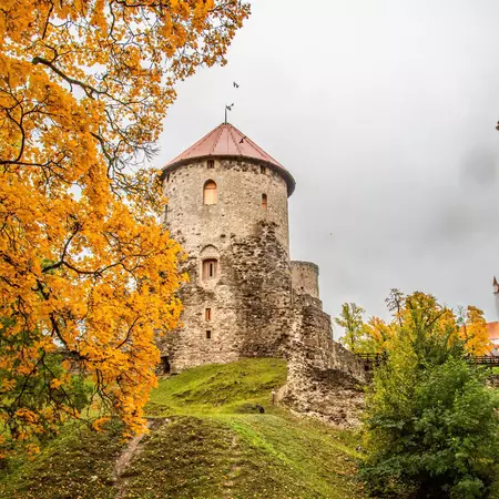 Medieval castle with stone towers surrounded by trees with yellow and orange leaves in autumn.